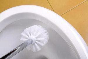 Comment Nettoyer La Brosse Des Toilettes