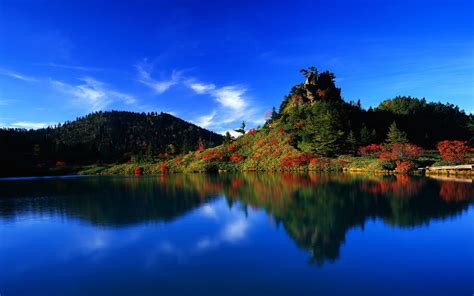 Online Crop Red Flowering Trees Landscape Nature Lake Reflection