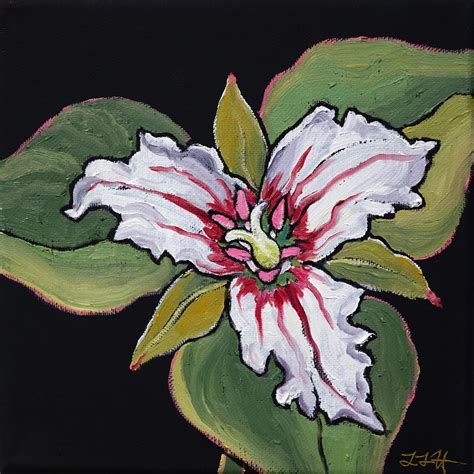 LOCAL WILDFLOWERS – Flora & Fauna