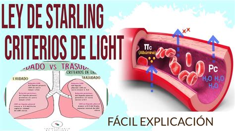 fisiologia Ley de STARLING y CRITERIOS DE LIGHT FÁCIL EXPLICACIÓN