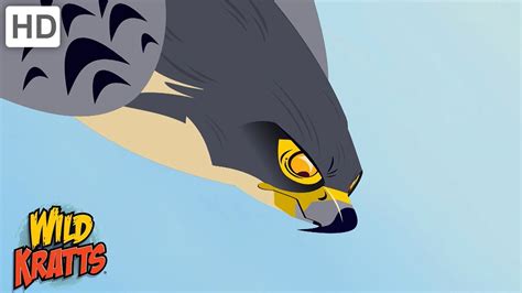 Wild Kratts Birds Of Prey Predators Of The Sky Full Episodes