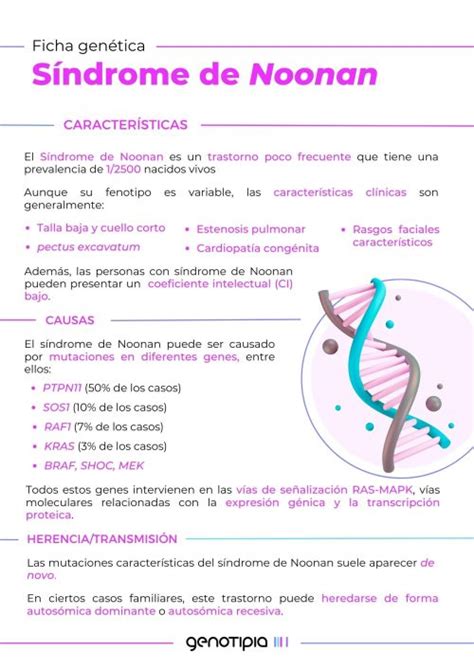 Fichas Genéticas Síndrome De Noonan Genotipia