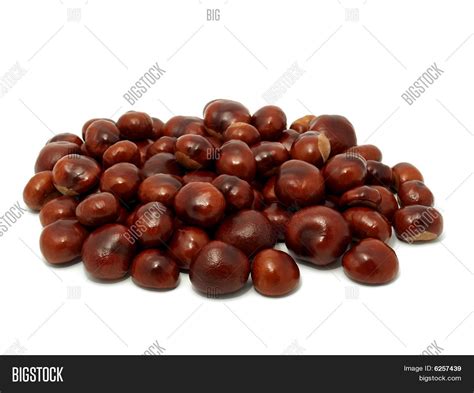 Horse Chestnuts Image & Photo (Free Trial) | Bigstock