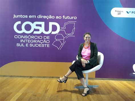 Secretário De Desenvolvimento Social E Funcionários Da Pasta Participam Do Cosud No Rio De