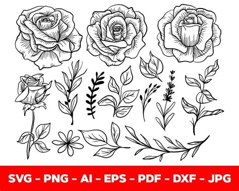 Flower Svg Bundle Floral Svg Rose Flower With Leaves Svg Floral Border