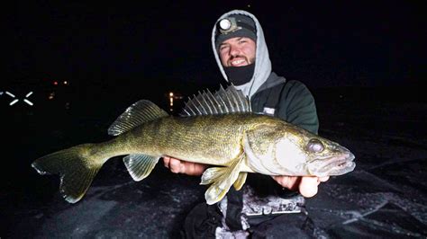 Insane Early Ice Walleye Bite Non Stop Action Youtube