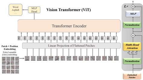 Schematic illustration of ViT model [58] | Download Scientific Diagram