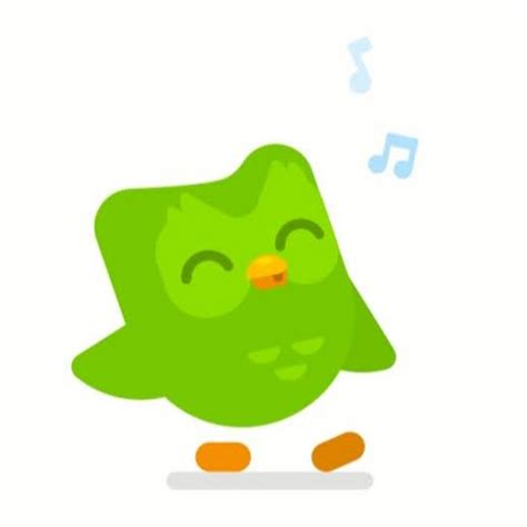 Duolingo Bird Youtube