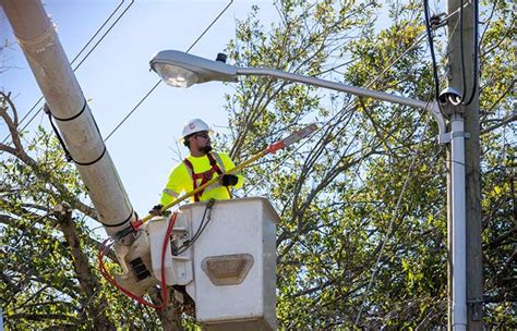 Residential Tree Trimming Santee Cooper