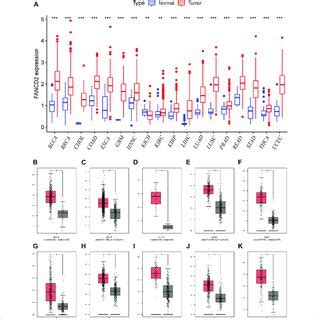 Pancancer Expression Profiling Analysis Of Fancd A Interactive Body