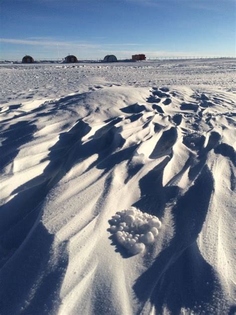 Snowball Tumbleweeds Blow Across Antarctica Live Science