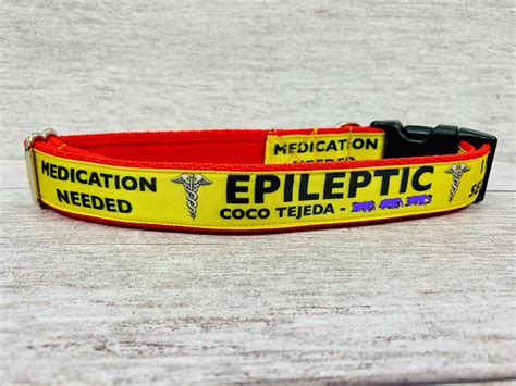 Personalise Epileptic Medical Alert Seizures Ribbon Etsy Uk