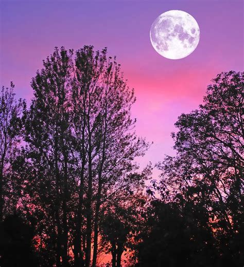 Supermoon 2020 Look Out For Aprils Pink Supermoon Next Week All You