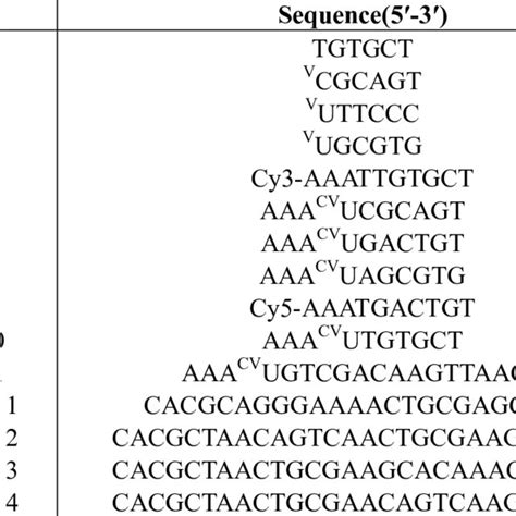 Sequence Of Using Oligonucleotide Download Table