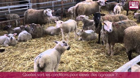 La Ferme De Clavisy Youtube