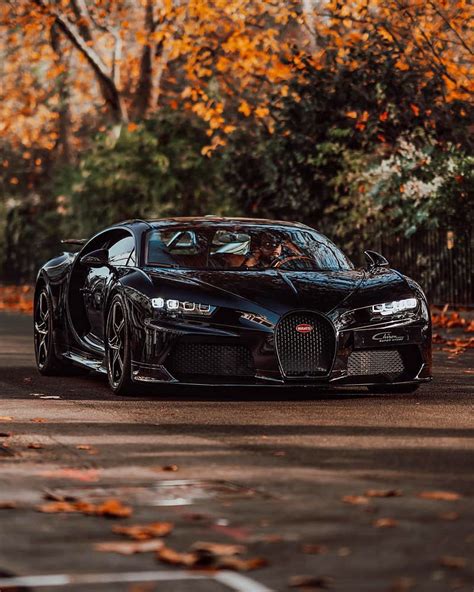 Bugatti Illuminated By Dappled Light Filteringsh Green Trees The