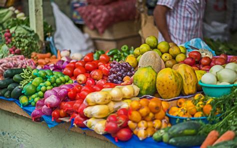 Journey to the heart of Ecuadorian flavors | Local travel agency in Ecuador