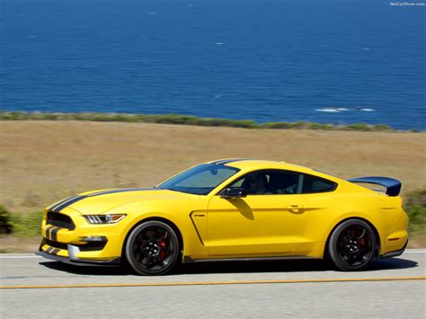 Ford Mustang Shelby Gt R Picture Of X