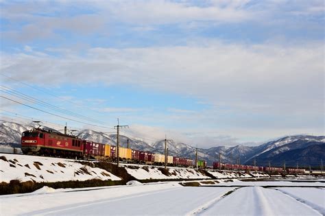 鉄道定番紀行 湖西線の湖北地方の雪景色を行く223系ローカル電車とef510ー18号機牽引のコンテナ貨物（マキノ～近江中庄）