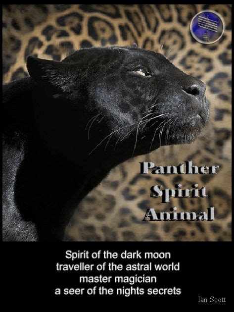 Panther Spiritual Meaning Spirit Animal Totem Spirit Animal Animal