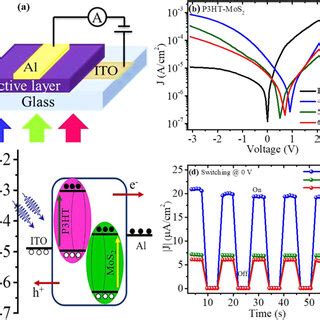 A Schematic Device Architecture Of Fabricated Photodetectors B Jv