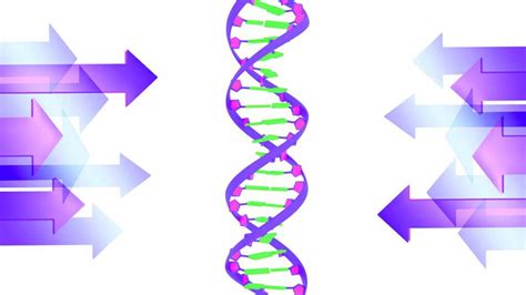 Epigenetik Verstehen Und Nutzen Innergetic Methoden