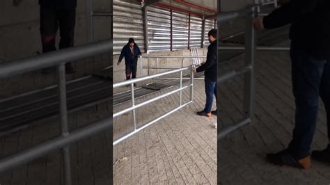 Telescopic Gate For Dairy Farms Youtube