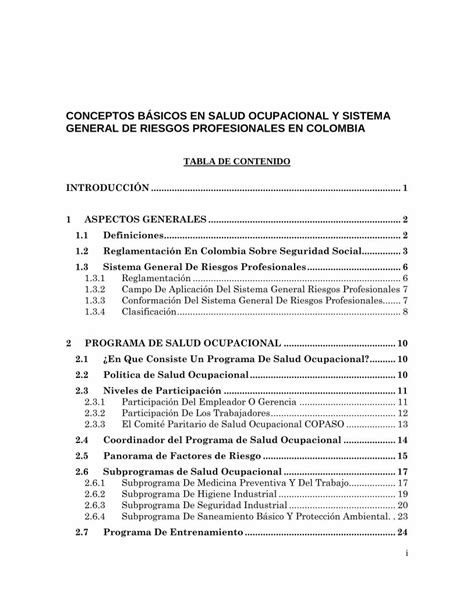 Pdf Conceptos Básicos En Salud Ocupacional Y Sistema General De Riesgos Profesionales En