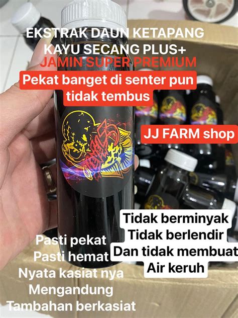 Ekstrak Daun Ketapang Pasti Pekat Super Plus Kayu Secang Olahan