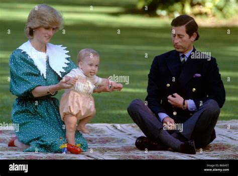 Princess Diana Prince William And Prince Charles Posing On The Lawn