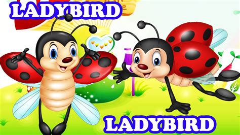 Ladybird Ladybird Kids And Nursery Rhyme Sing Along Song Youtube