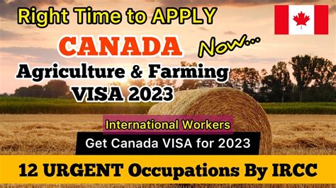 Agriculture Farm Worker Visa Canada For 2023 12 Farm Jobs