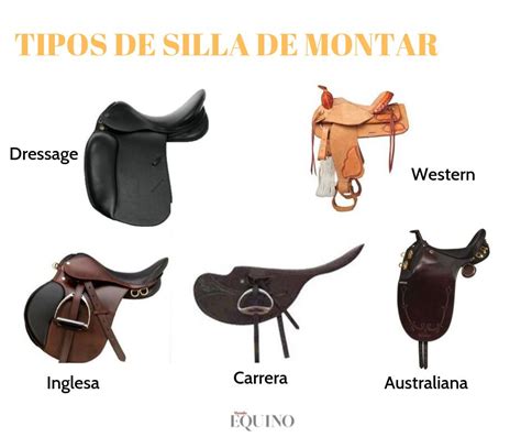 Tipos De Sillas De Montar