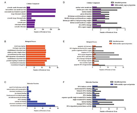 Isobaric Tags For Relative And Absolute Quantitation Based Quantitative