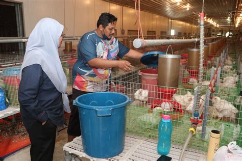 Lawatan Ke Ladang Ayam Tertutup Universiti Putra Malaysia