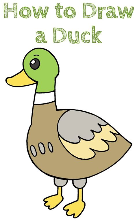 How to Draw a Duck - How to Draw Easy