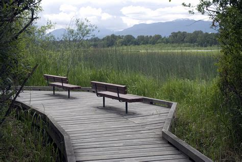 Burnaby Lake Regional Park - Burnaby, British Columbia