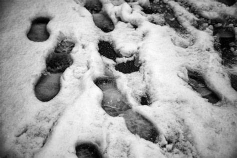 Footprints in snow stock image. Image of activity, shoe - 177157079