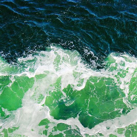 Green Ocean Waves | Hot Sex Picture