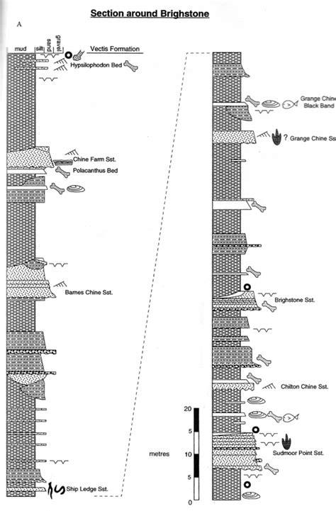 DinoWight - Geology of the Isle of Wight