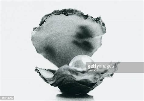 117 Pearl Inside Oyster Shell Stock Photos High Res Pictures And