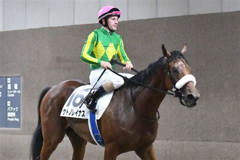 桜花賞2着馬サトノレイナスが右トモ骨折で秋プラン白紙に 国枝師「今後に関してはなんとも」 競馬ニュース・特集なら東スポ競馬