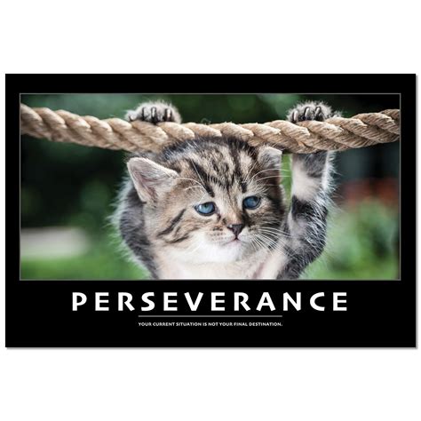 Inspirational Cat Poster