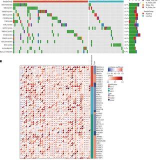 Genetic Alteration Analysis And Rna Methylation Analysis Of Ereg In