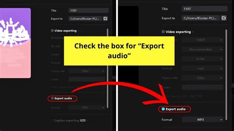 How To Extract Audio Separate Audio From Video In Capcut