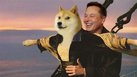 Musk Replaces Twitters Blue Bird Logo With Doge Meme Heres Why