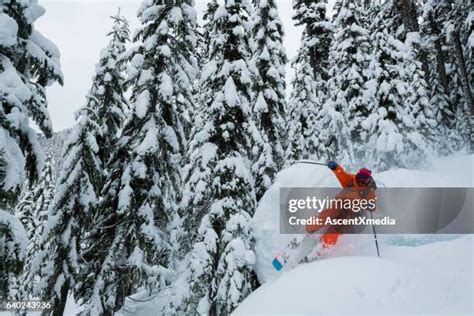 1314 Ski Crash Stock Photos High Res Pictures And Images Getty Images