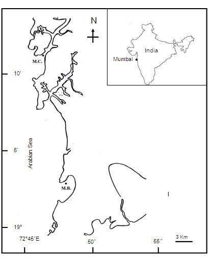 Location of sampling sites-Manori Creek (MC) and Mahim Bay (MB ...