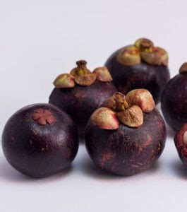 Garcinia mangostana – African Orphan Crops Consortium