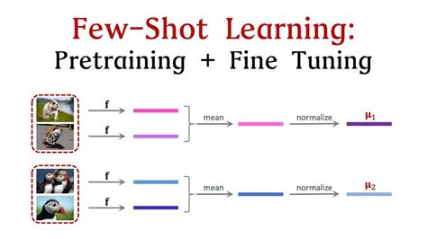 Few Shot Learning Fineproxy Glossary